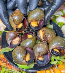 Ốc